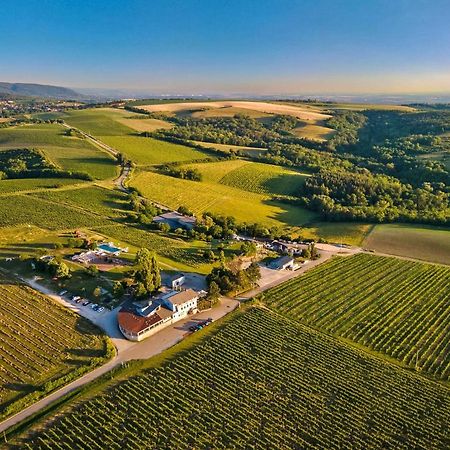 Hilltop Borbirtok & Etterem Hotel Neszmely Bagian luar foto