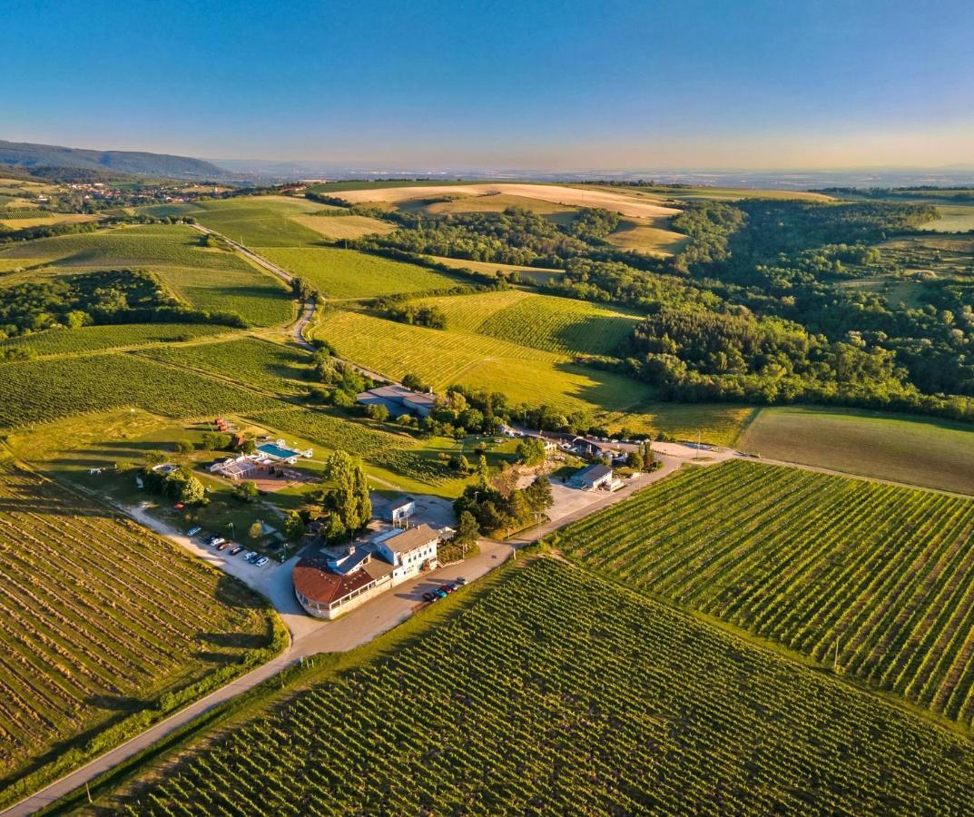 Hilltop Borbirtok & Etterem Hotel Neszmely Bagian luar foto