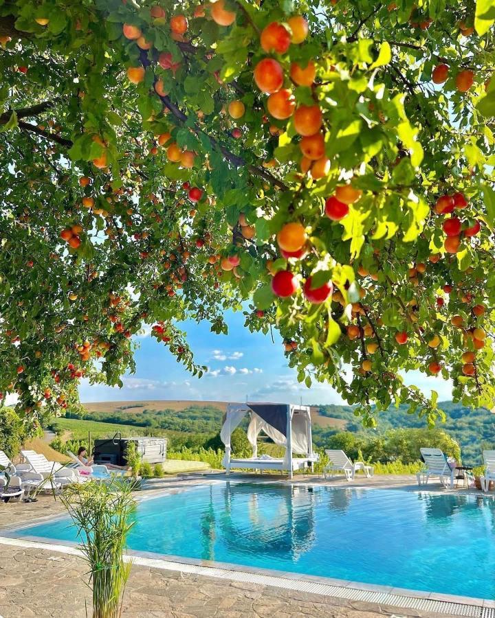 Hilltop Borbirtok & Etterem Hotel Neszmely Bagian luar foto