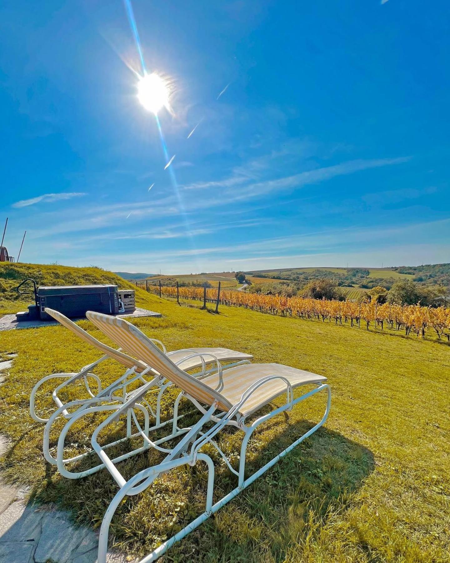 Hilltop Borbirtok & Etterem Hotel Neszmely Bagian luar foto