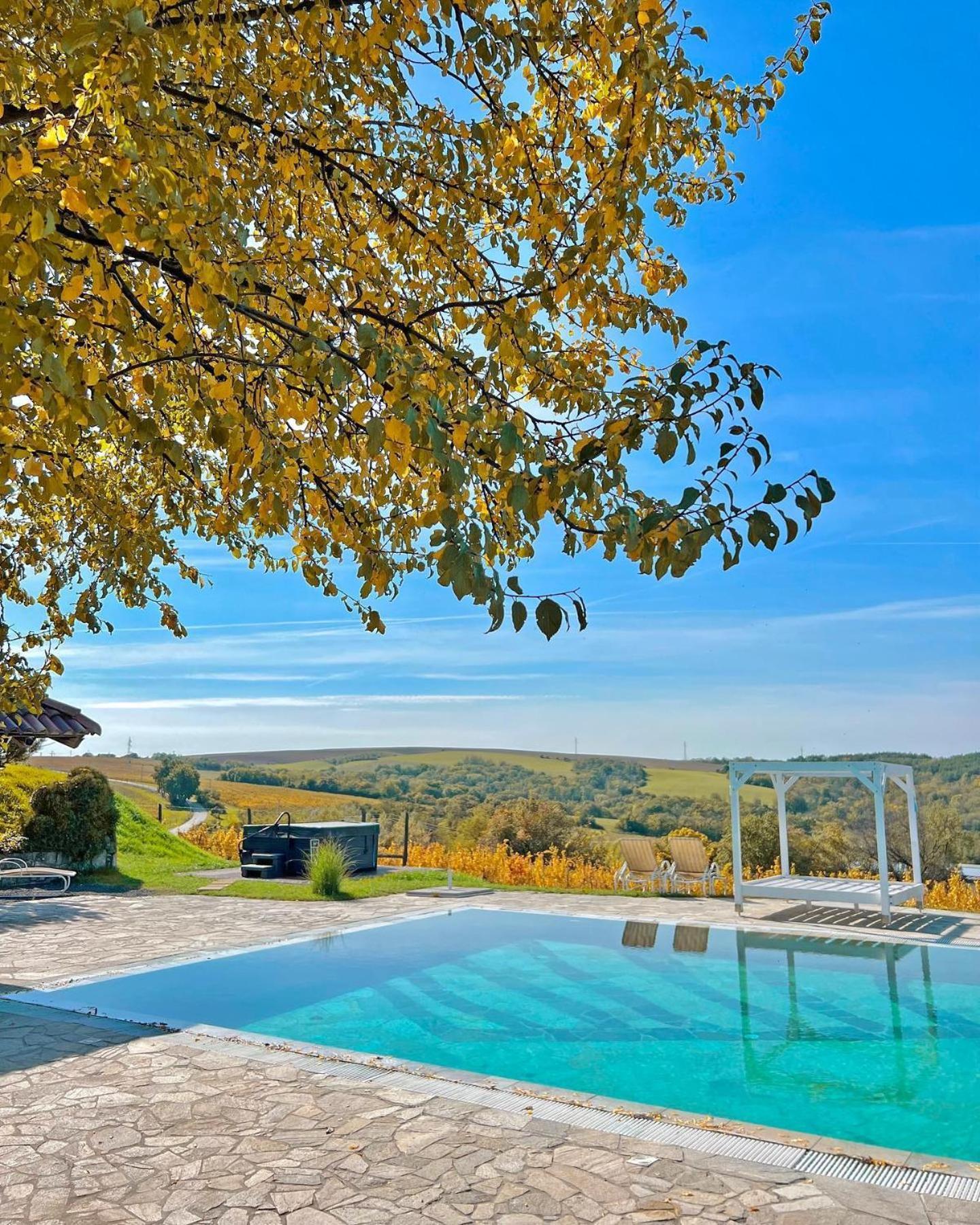 Hilltop Borbirtok & Etterem Hotel Neszmely Bagian luar foto